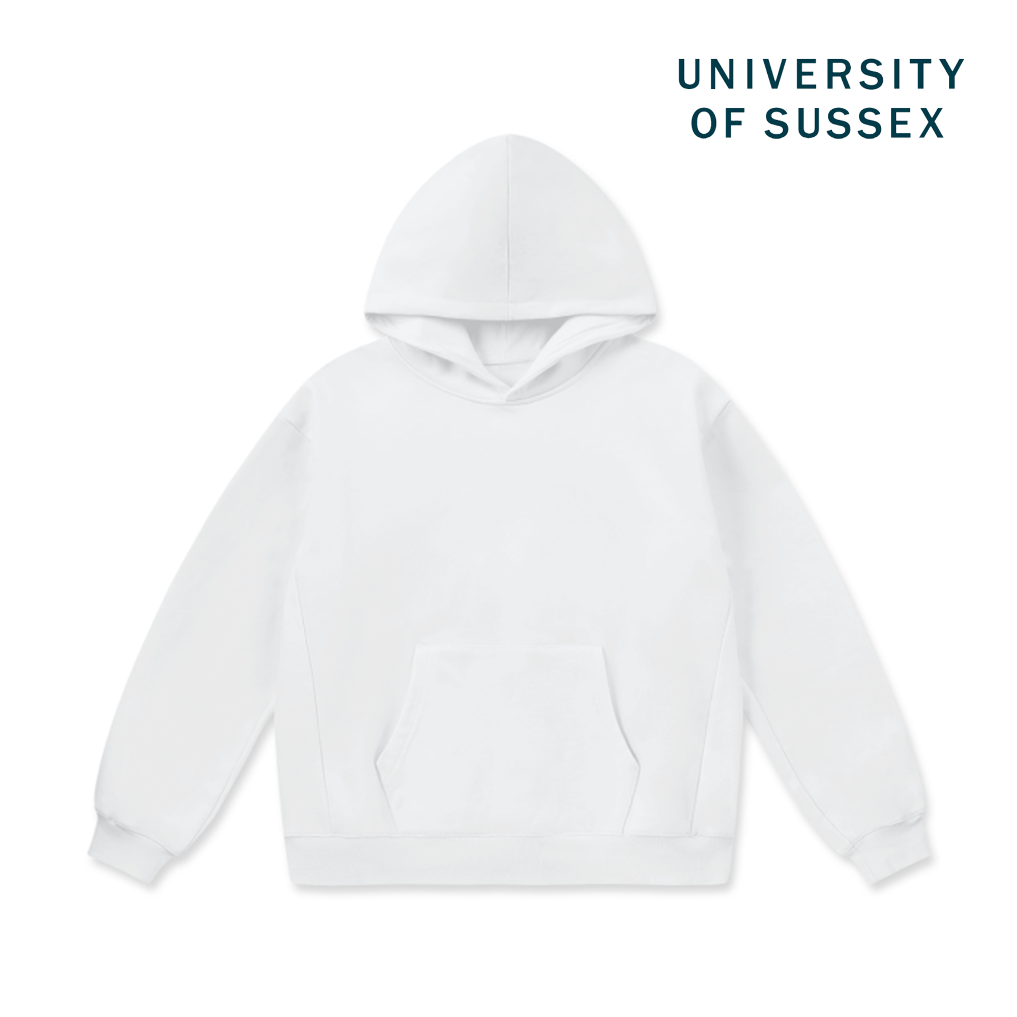 LCC Super Weighted Hoodie - University of Sussex (Modern)